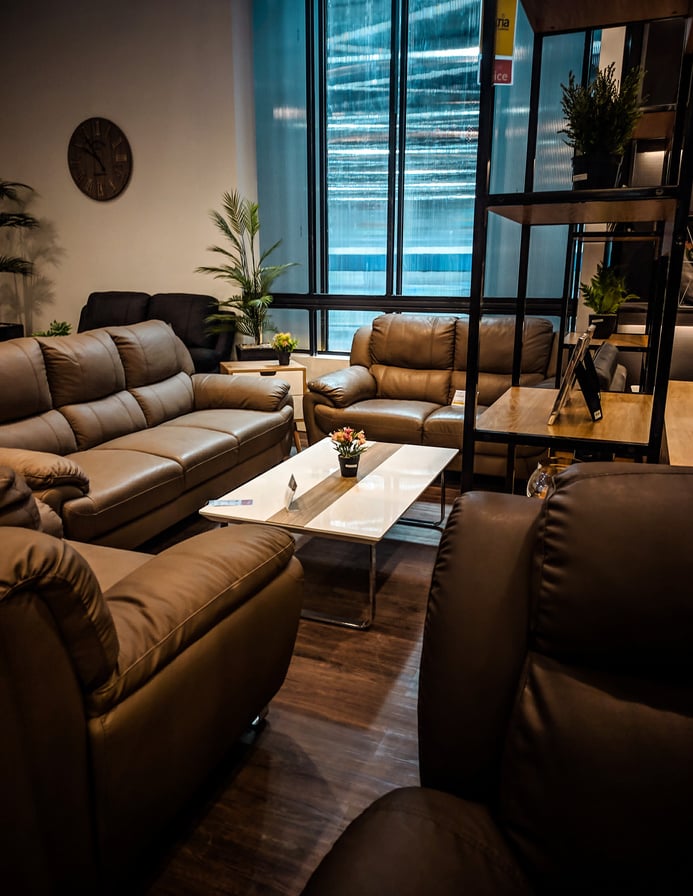 Potted Plants inside a House